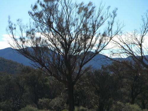 Flinder&#039;s Ranges South Australia.