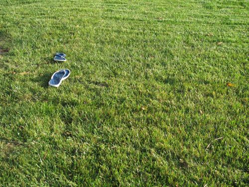 flip flops sandals grass