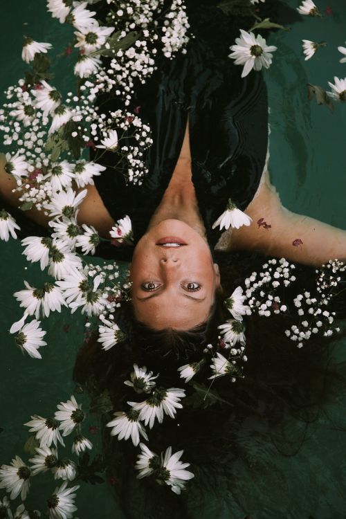 floating flora flowers