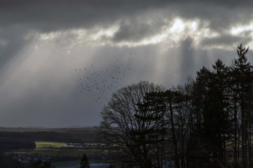 flock of birds  mood  clouds