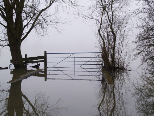 flood misty farm