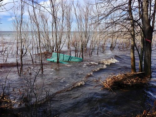flood bare trees park bench