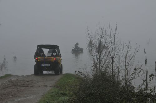 flood quad fog