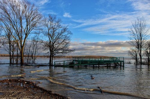 flood  mississippi river  levee