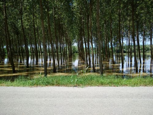 flood water river