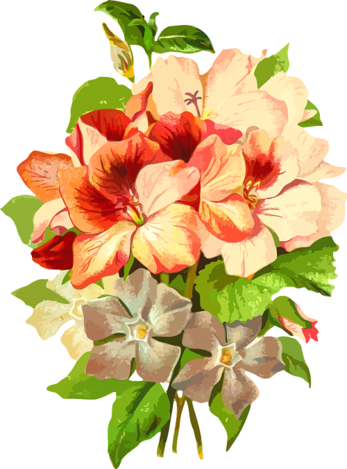 flora floral flower