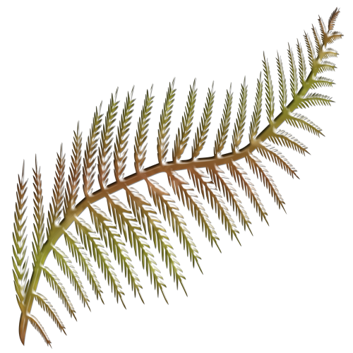 flora fern frond shape stylised