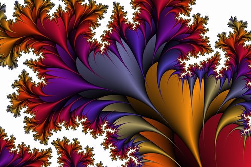 flora  entwine  fractals