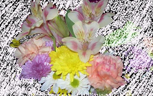 Flora Bouquet Colorful