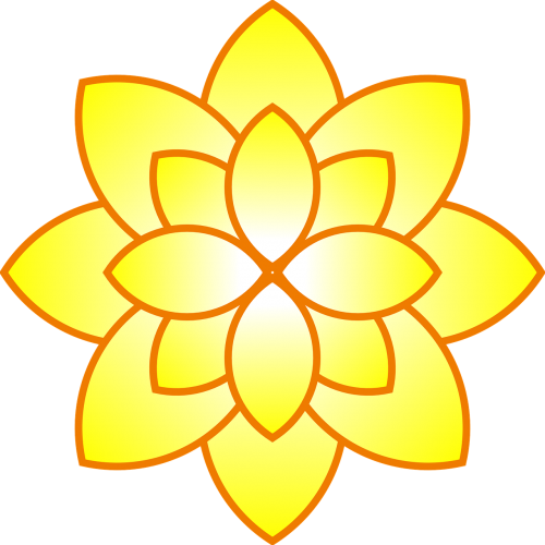 floral sunflower flower