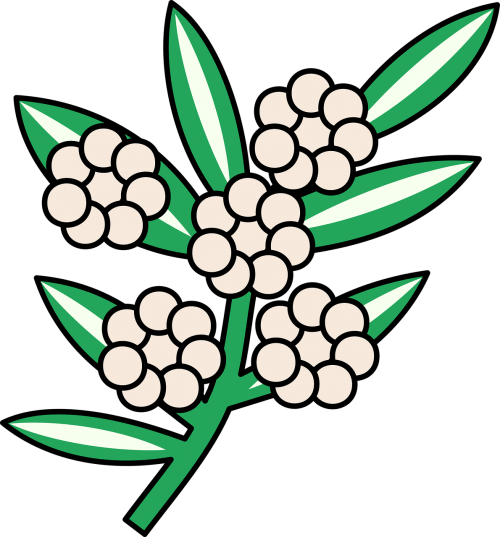 floral flower leaf