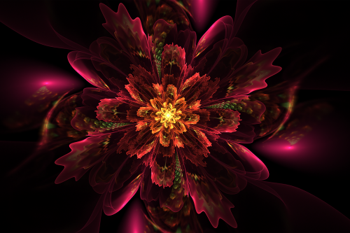 floral fractal glow