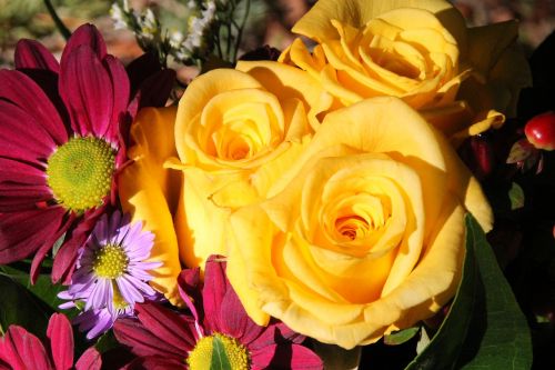 floral blossoms backdrop