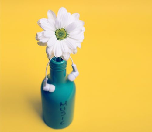 floral jar mug