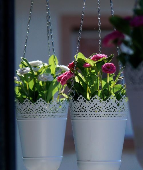 floral flowers hanging basket