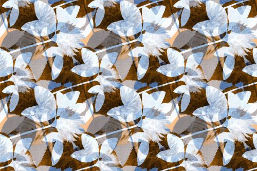 Floral Abstract Pattern 13