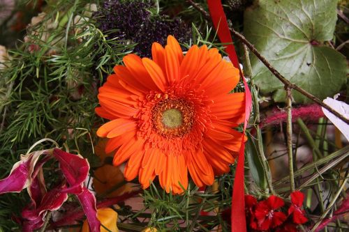 floral arrangement flowers gerbera