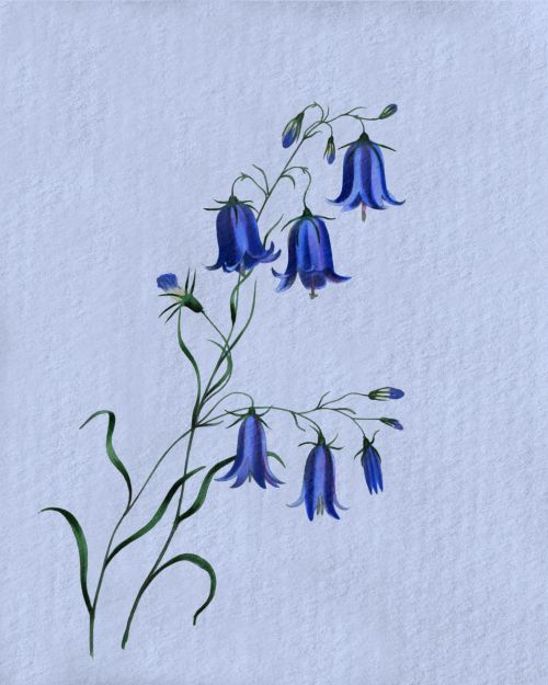 Floral Flowers Blue Watercolor
