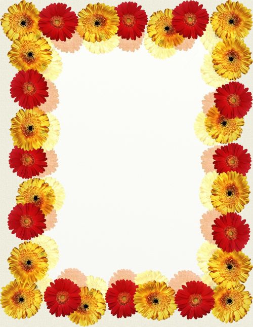 floral frame picture frame flowers