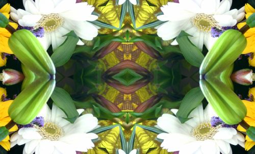 Floral Kaleidoscope Background