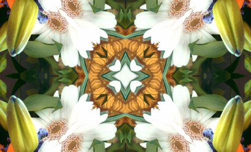 Floral Kaleidoscope Background