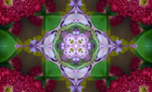 Floral Kaleidoscope Background