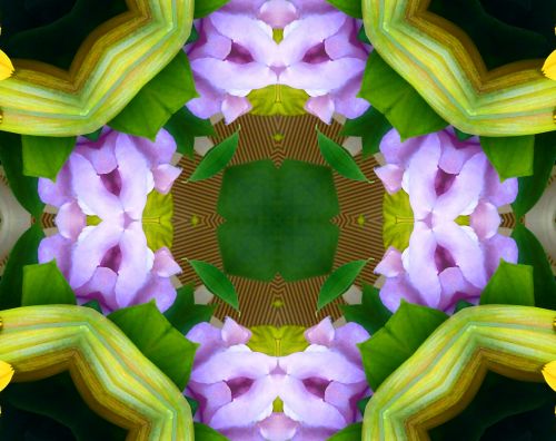 Floral Kaleidoscope Background