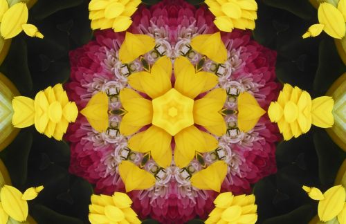 Floral Kaleidoscope Background