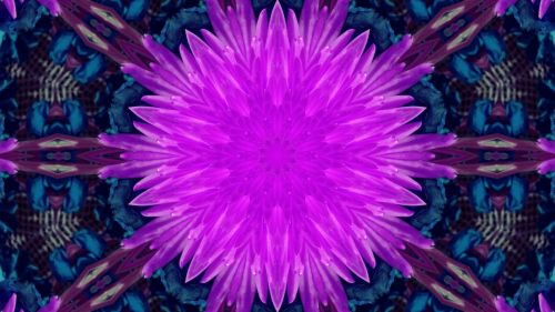 Floral Kaleidoscope Background