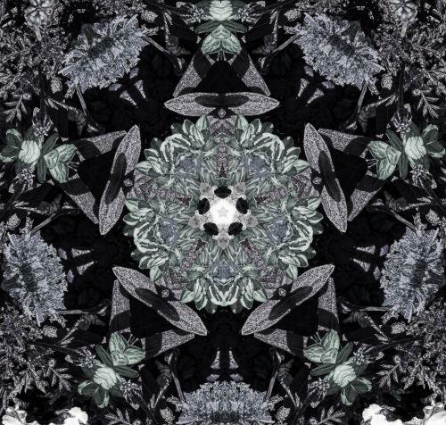 Floral Kaleidoscope Background