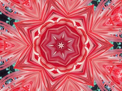 Floral Kaleidoscope Background