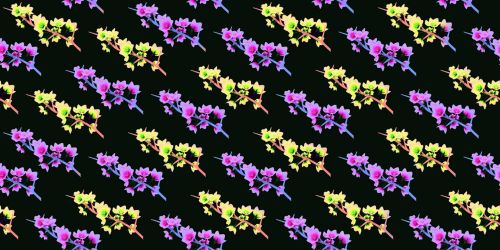 Floral Pattern Background 1162