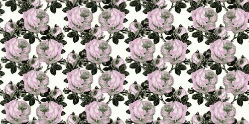 Floral Pattern Background 1179