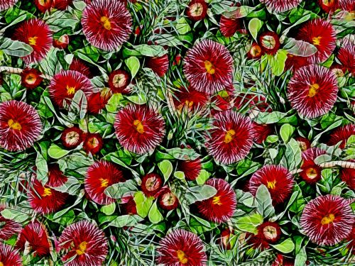 Floral Pattern Background 128