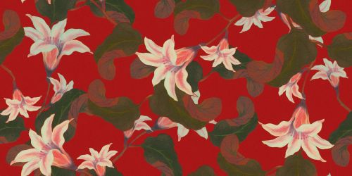 Floral Pattern Background 1636