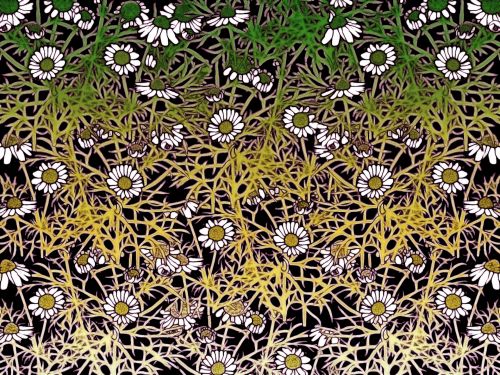 Floral Pattern Background 176