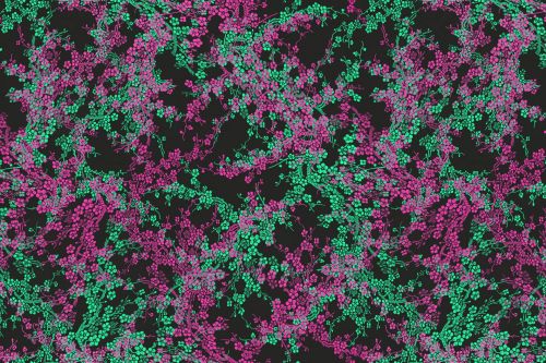 Floral Pattern Background 283