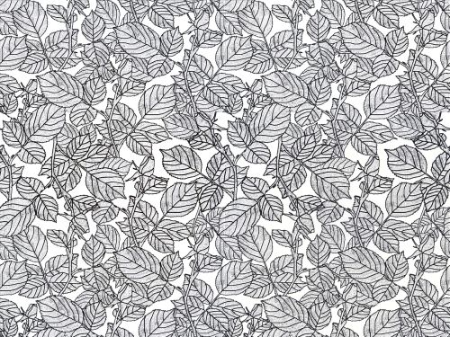 Floral Pattern Background 580