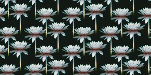 Floral Pattern Background 927