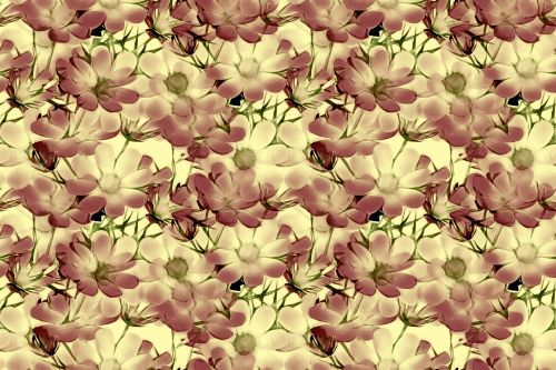 Floral Pattern Background 953