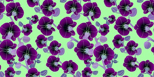 Floral Pattern Background 999