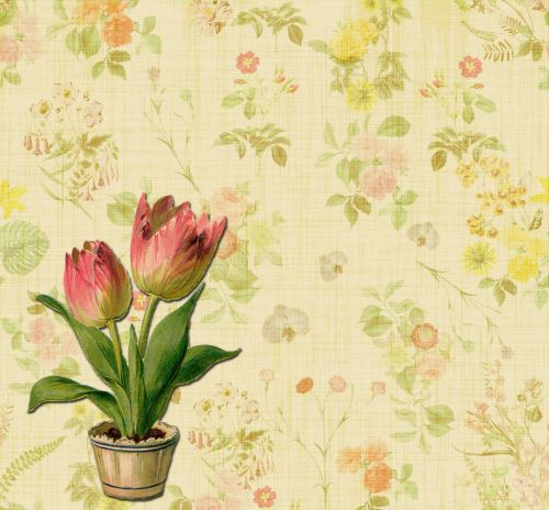 Floral Wallpaper Tulips Background