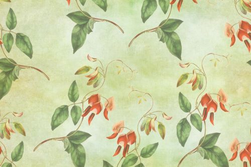 Floral Wallpaper Vintage