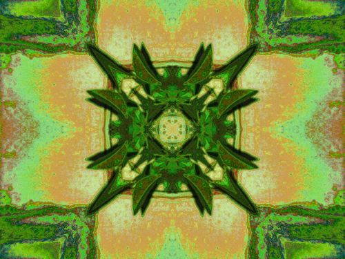 Floral Green Kaleidoscope