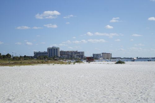 florida  tropical  summer