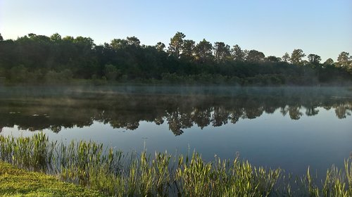 florida  lake  morning