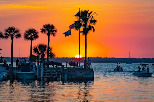 florida  sunset  palm trees