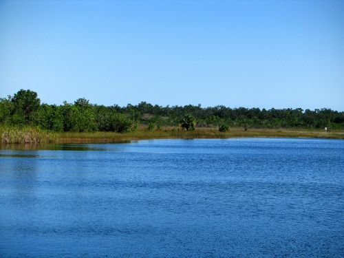 florida lake view