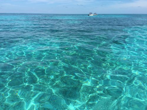 florida keys looe key snorkeling