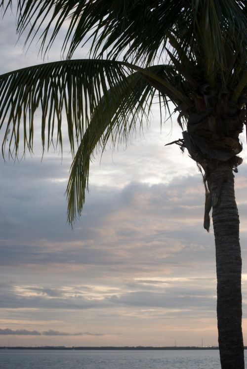 Florida Sunset 2